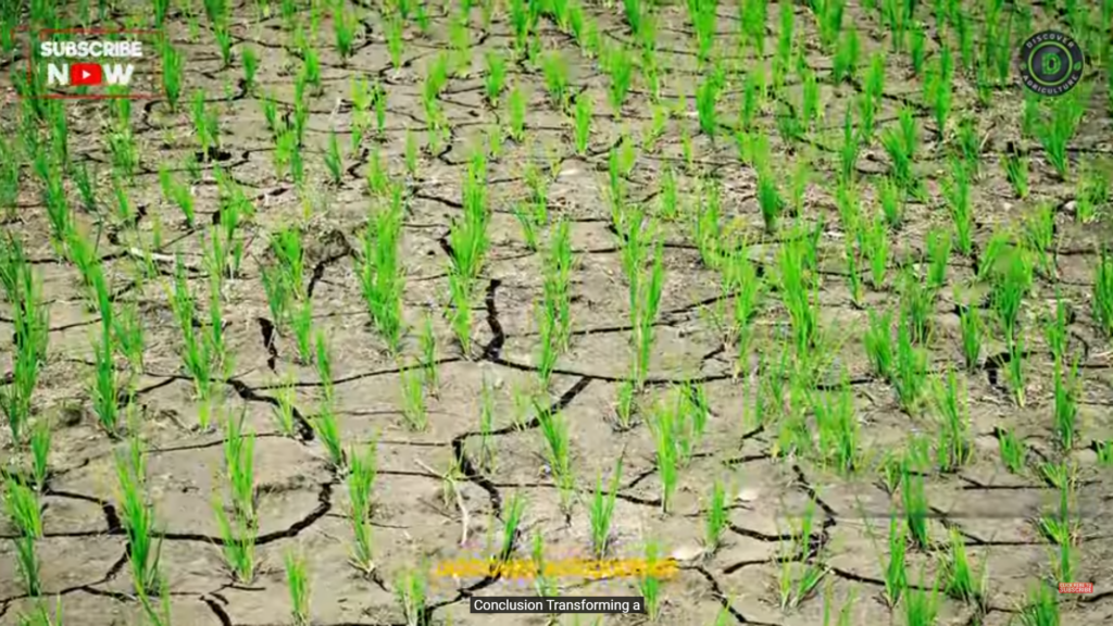 How to convert Dry land into Fertile Land Farming in Barren Land FO